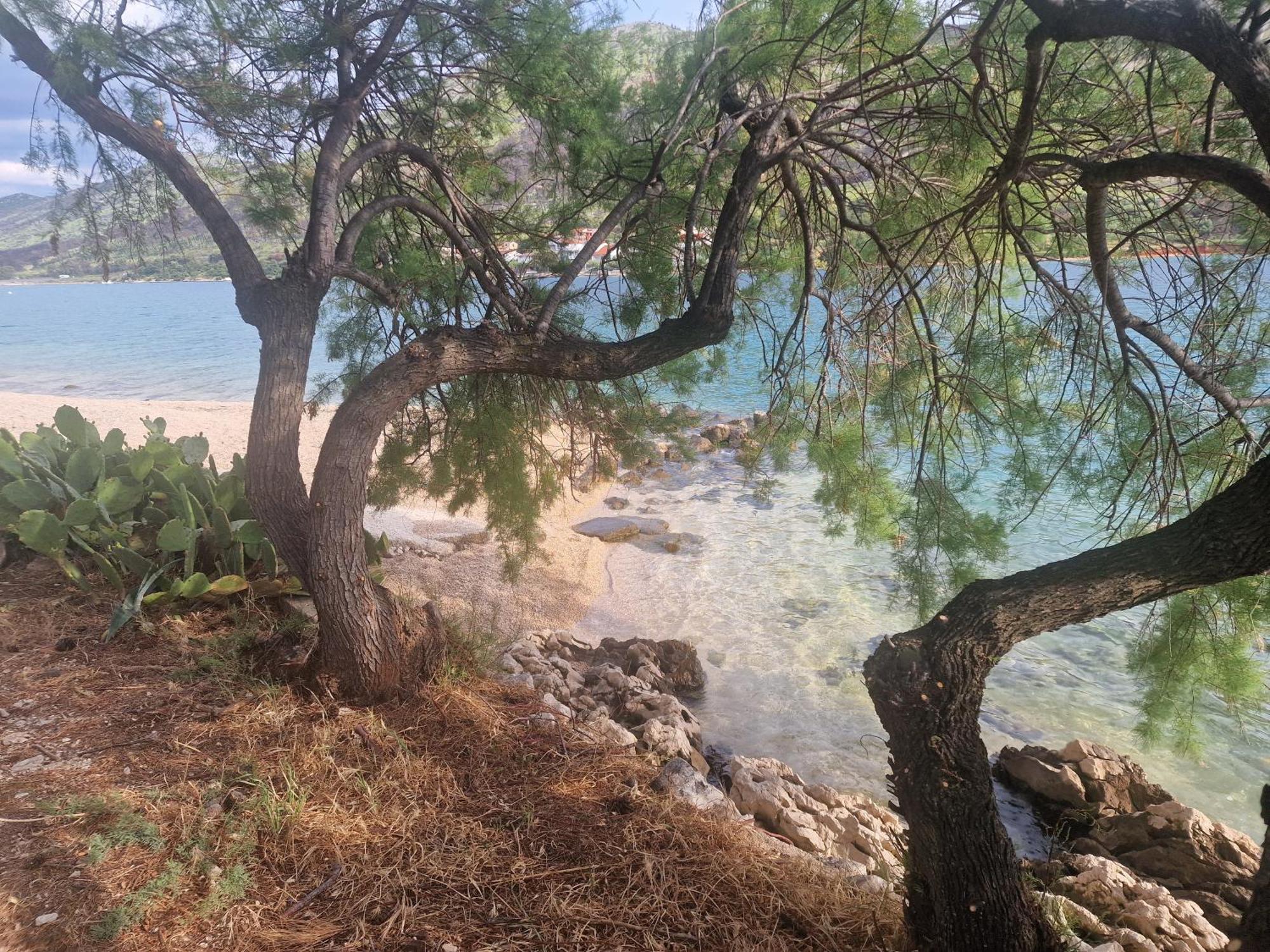 Camp Ante-Gojko Hotel Grebaštica Cameră foto